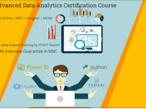 Data Analyst Course in Delhi, 110091. Best Online Data Analytics Training by MNC Professional