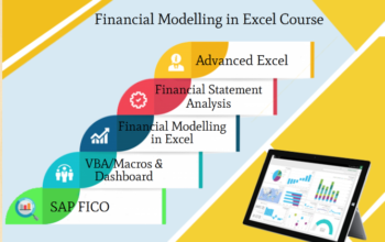 Financial Modelling Certification Course in Delhi, 110070. Best Online Live Financial Analyst